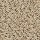 Mohawk Carpet: SP395 04